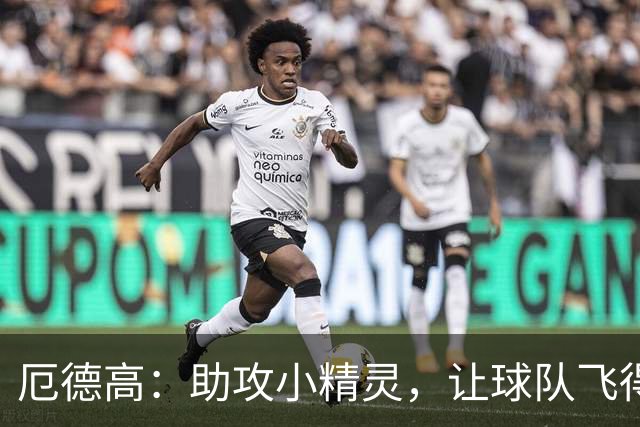 厄德高：助攻小精灵，让球队飞得更高！