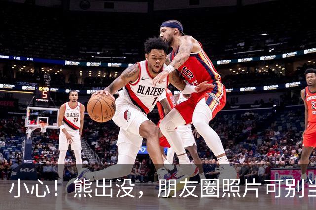小心！熊出没，朋友圈照片可别当命来赌